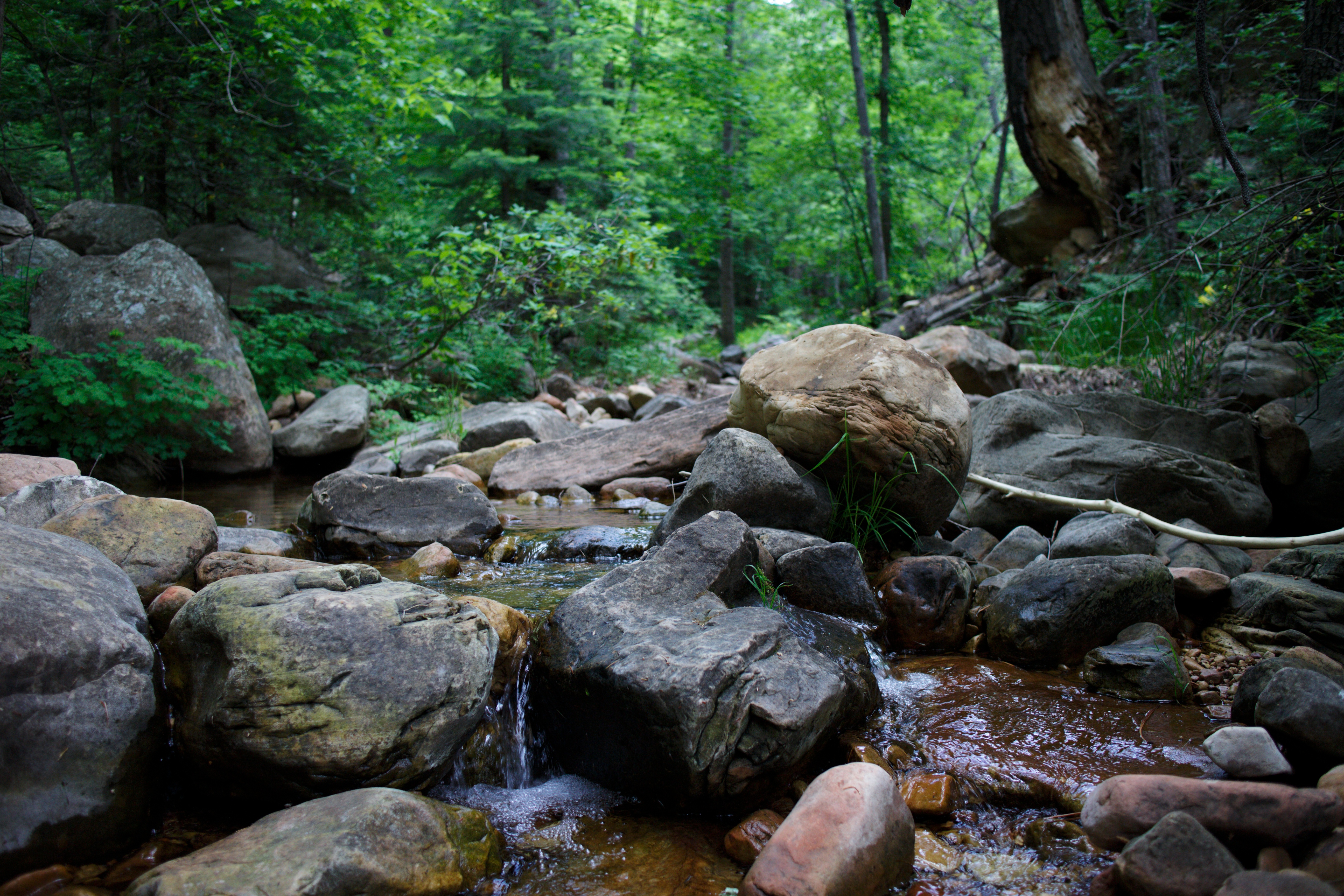 Water on Rocks